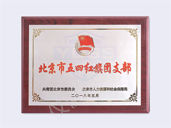 2018北京五四紅旗團支部