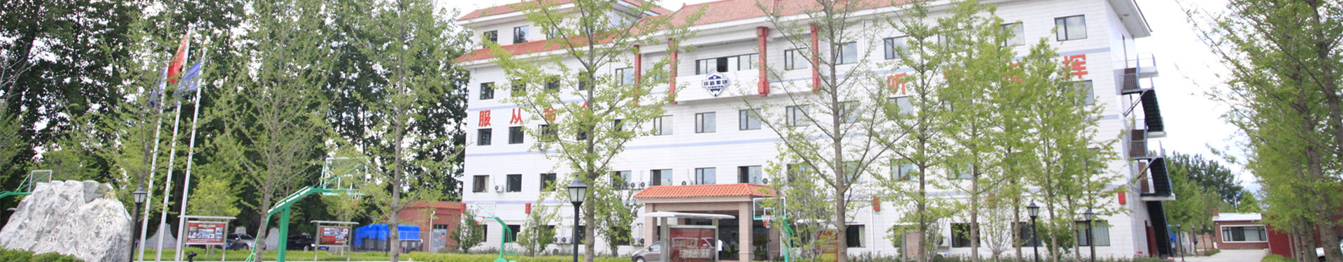 銀盾簡介
